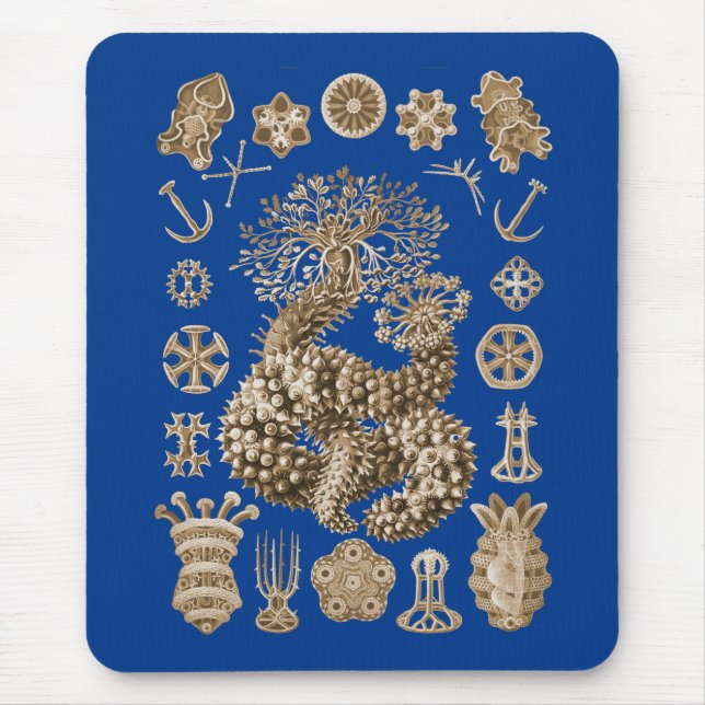 Sea Cucumbers Mouse Pad (Front)