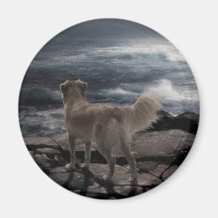 Sea Dog Magnet