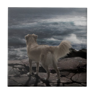 Sea Dog Tile