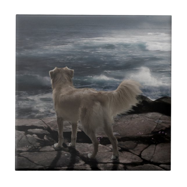 Sea Dog Tile (Front)