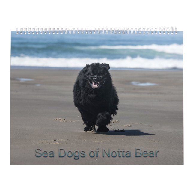 Sea Dogs of Notta Bear Calendar (Cover)