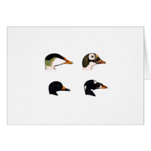Sea Ducks Logo
