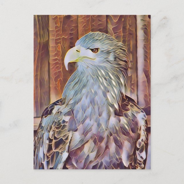 SEA EAGLE POSTCARD (Front)