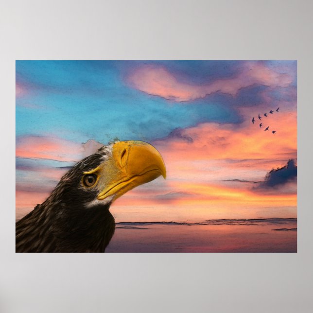 Sea Eagle Poster (Front)