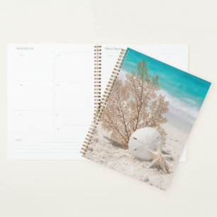 Sea Fan With Sand Dollar and Starfish Planner