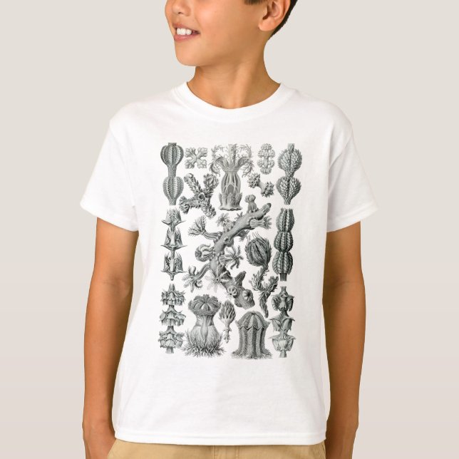 Sea fans T-Shirt (Front)