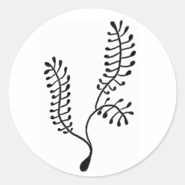 Sea Fern Sticker (Front)