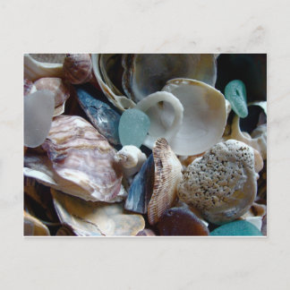 Sea Glass Shell Collected Postcard