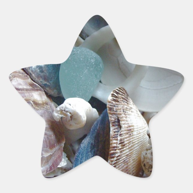 Sea Glass Shell Collected Star Sticker (Front)