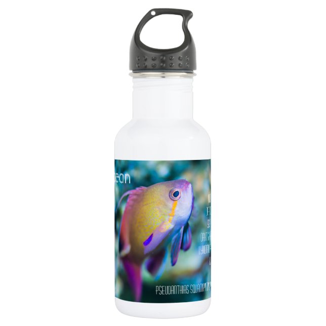 Sea goldie, colourful cute fish 532 ml water bottle (Front)