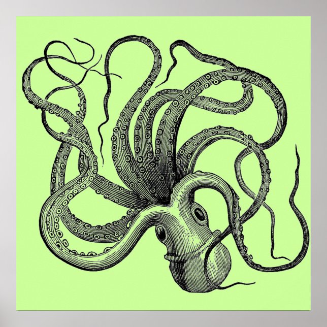 Sea Green Octopus Poster (Front)
