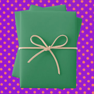 Sea Green Solid Colour Wrapping Paper Sheet
