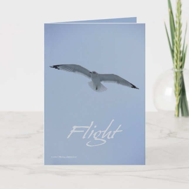Sea Gull Flight Card (Front)