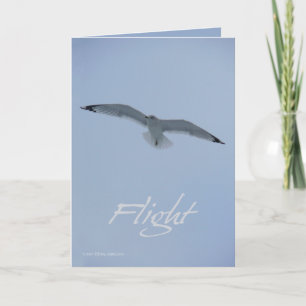 Sea Gull Flight Card