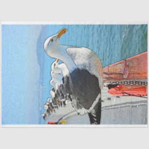 Sea Gull Gift Tissue Paper