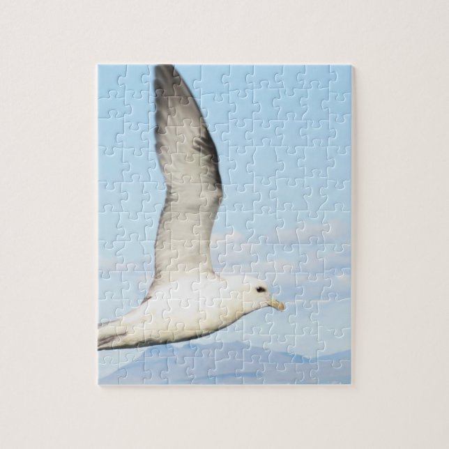 Sea Gull Inflight Puzzle (Vertical)