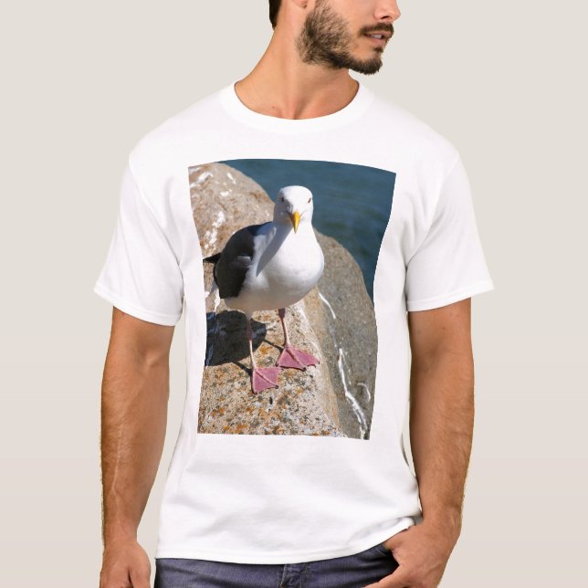 Sea Gull, Morro Bay, California T-Shirt (Front)