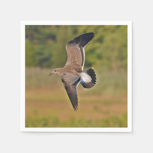 Sea Gull Paper Napkin