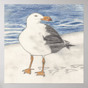 SEA GULL print (15"x15")