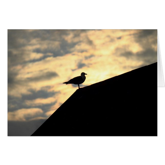 Sea Gull Sunset (Front Horizontal)