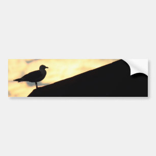 Sea Gull Sunset Bumper Sticker