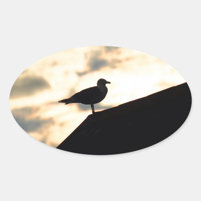 Sea Gull Sunset Oval Sticker (Front)