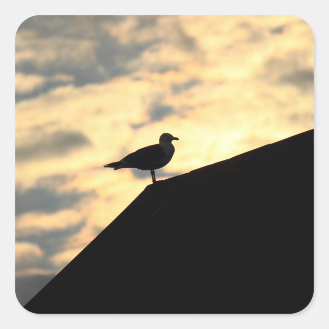 Sea Gull Sunset Square Sticker (Front)