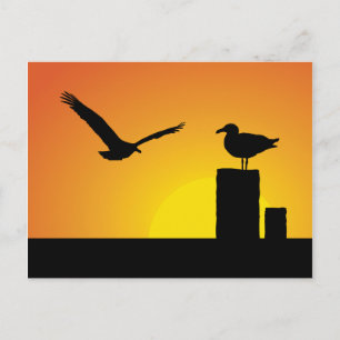 Sea Gulls At Sunset Postcard