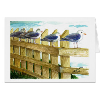 Sea gulls in a row