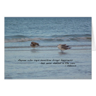 Sea Gulls in Naples, Florida
