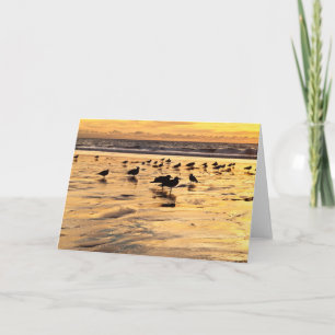 Sea Gulls On Beach At Sunset Card