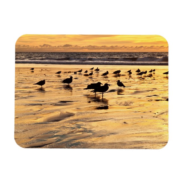 Sea Gulls On Beach At Sunset Magnet (Horizontal)