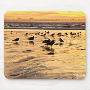 Sea Gulls On Beach At Sunset Mouse Pad