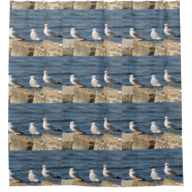 Sea Gulls on Rocks Shower Curtain (Front)