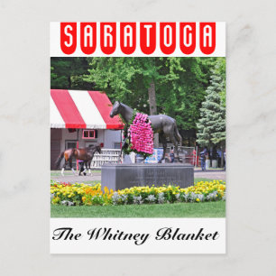 Sea Hero & The Whitney Blanket of Roses Postcard