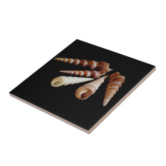Sea Horns Ceramic Tile