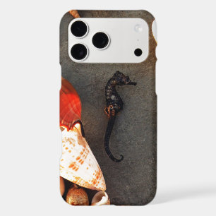 Sea Horse
