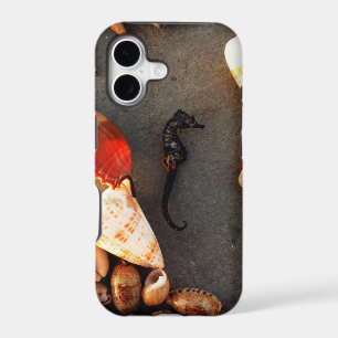 Sea Horse