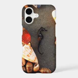 Sea Horse