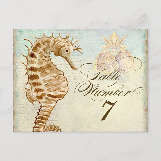 Sea Horse Coastal Beach - Table Number Postcard (Front)