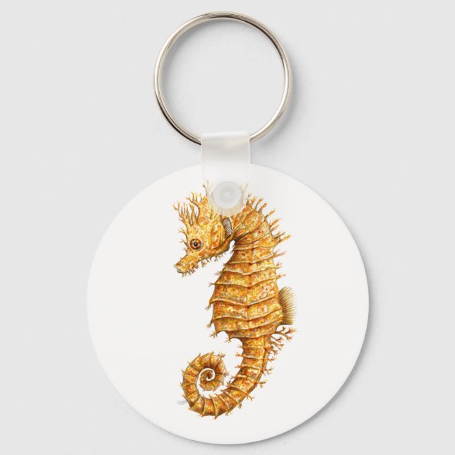 Sea horse Hippocampus hippocampus Key Ring (Front)