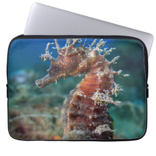 Sea Horse   Hippocampus Ramulosus Laptop Sleeve