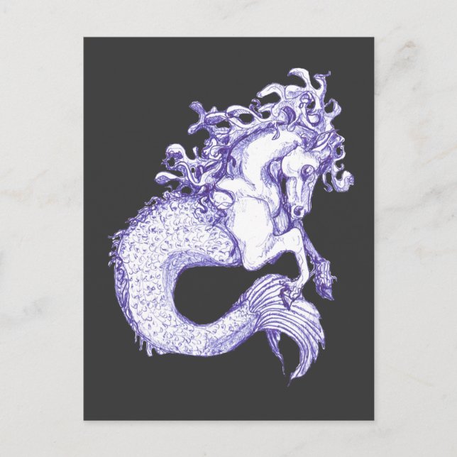 Sea Horse II Postcard (Front)