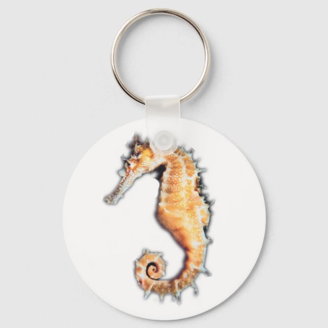 Sea horse key ring (Front)