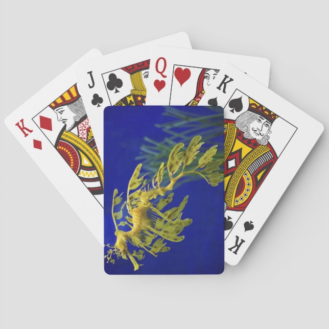 Sea horse playing cards (Back)