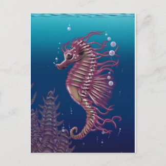 Sea Horse Postcard