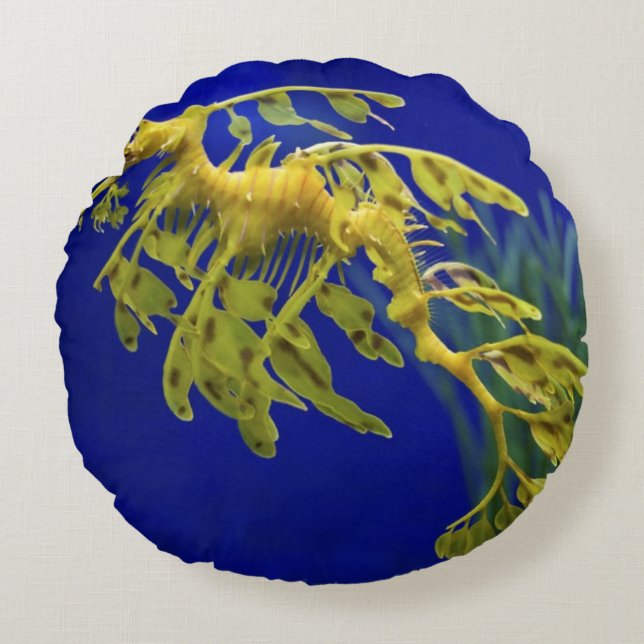 Sea horse round cushion (Front)