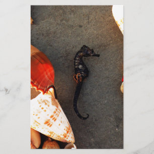 Sea Horse Stationery