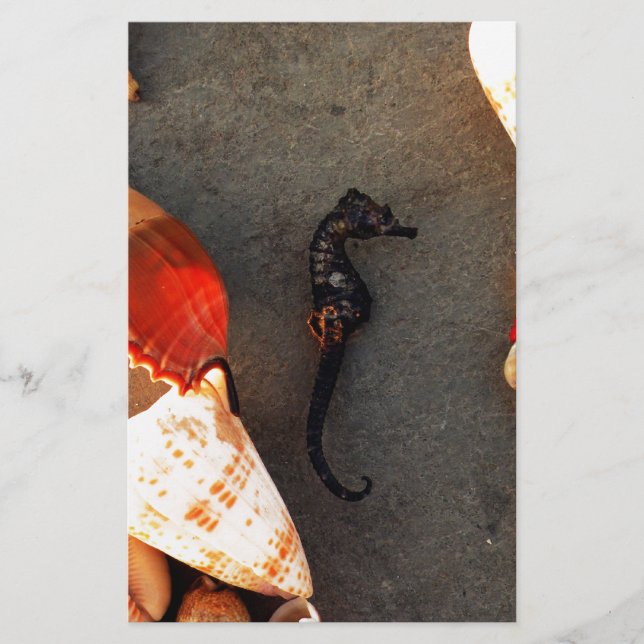 Sea Horse Stationery (Front)