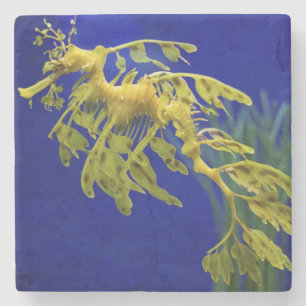 Sea horse stone coaster